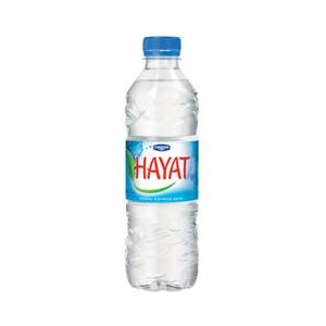  Hayat Su 0.5 lt