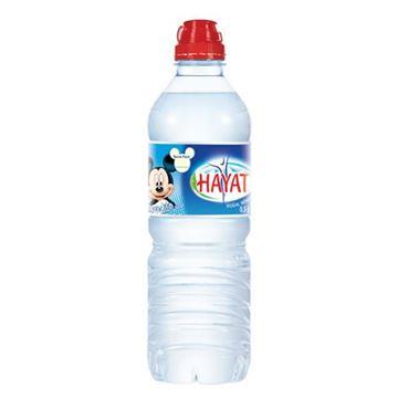  Hayat Su 0.5 lt Sp...